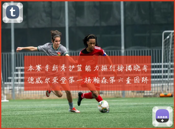 本赛季新秀护筐能力排行榜揭晓考德威尔荣登第一杨瀚森第六奎因跻身前十