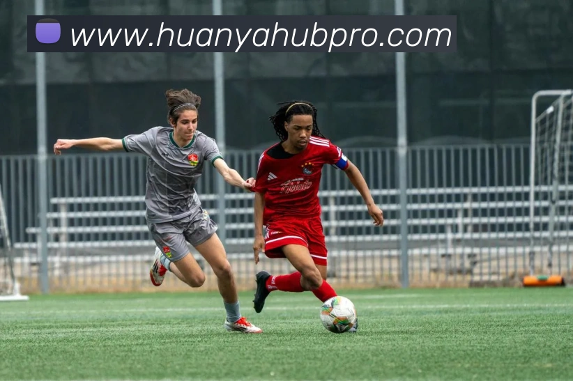 App Interface Preview