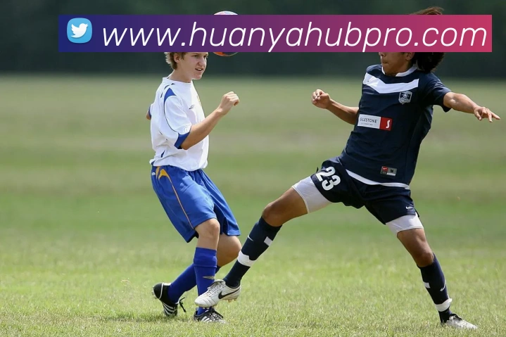 环亚体育APP 封面图